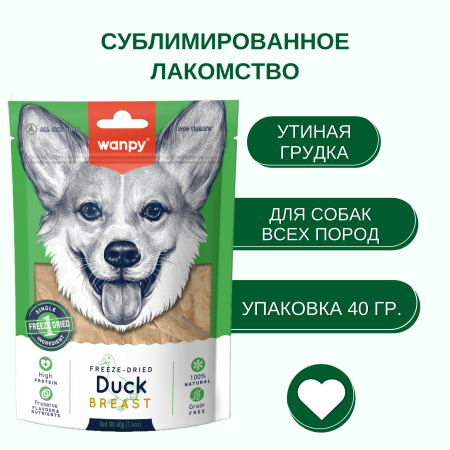 d34bec1fa872caae302dd42c12d747d2