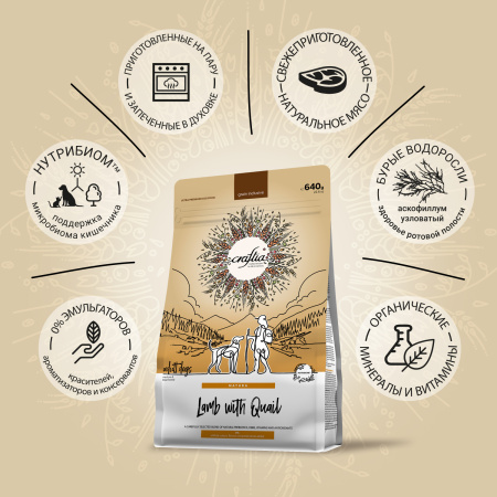 32935dd067dd3a44884c6d344641caf1