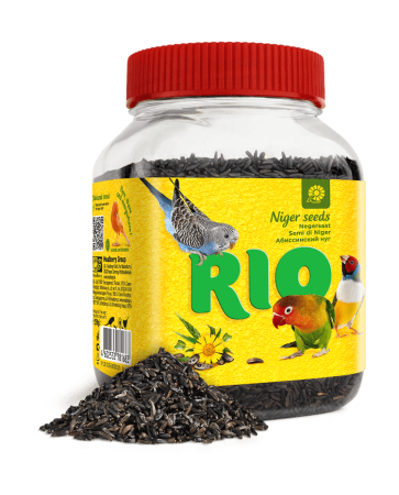 rio_ab_nug