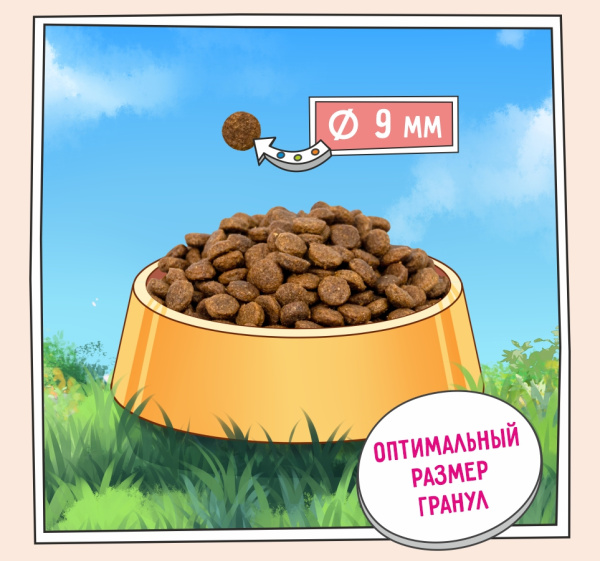 9ffwckq85ak5s6xemmzicaozadv2ax15