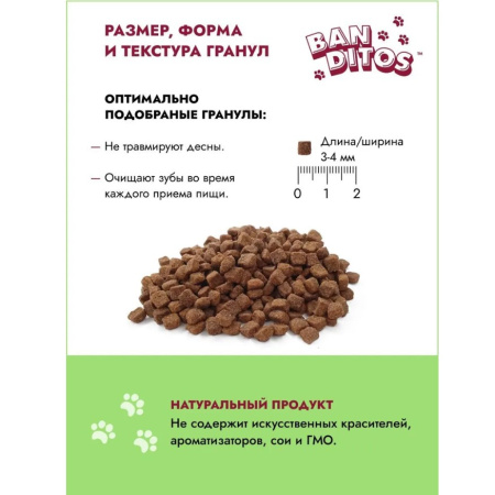 5бандитос