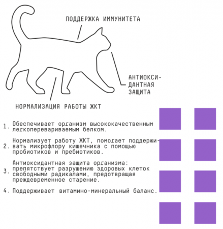 Сенс плюсы