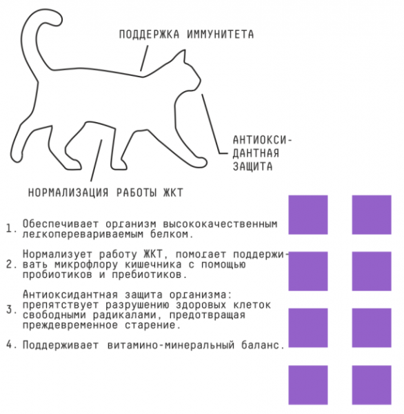 Сенс плюсы