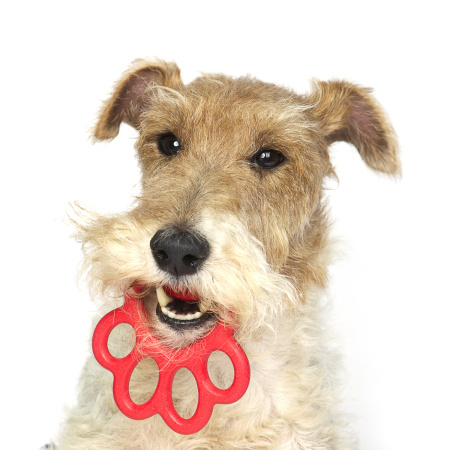 8787cb45-ccee-11ea-816b-005056bf23ce_1x1_2