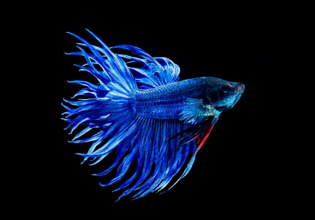 74d0beeeab2a1a4fb4ae59c09f84c4fa