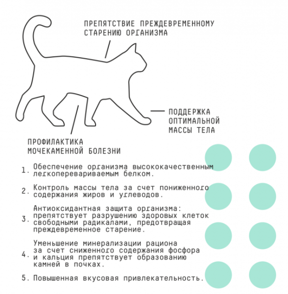 Стерилизованные плюсы