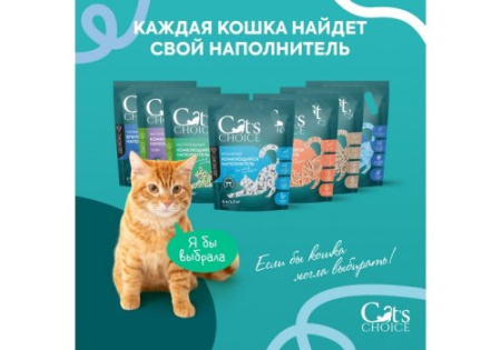 CCH544636_5
