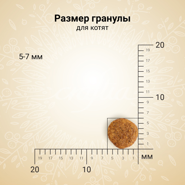 ihwpz8to2q1zndqicj29z0a95aj1l1tk