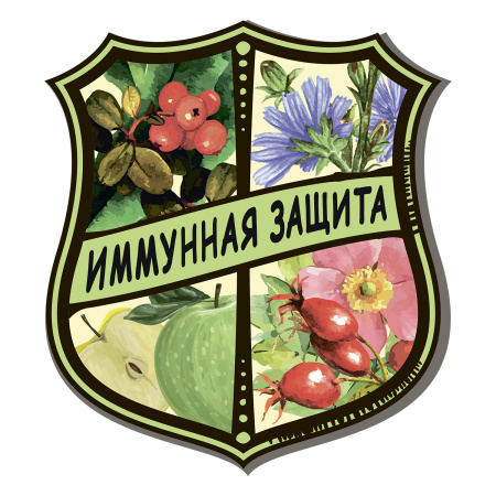 IMMUNNAJA ZACHITA_a4