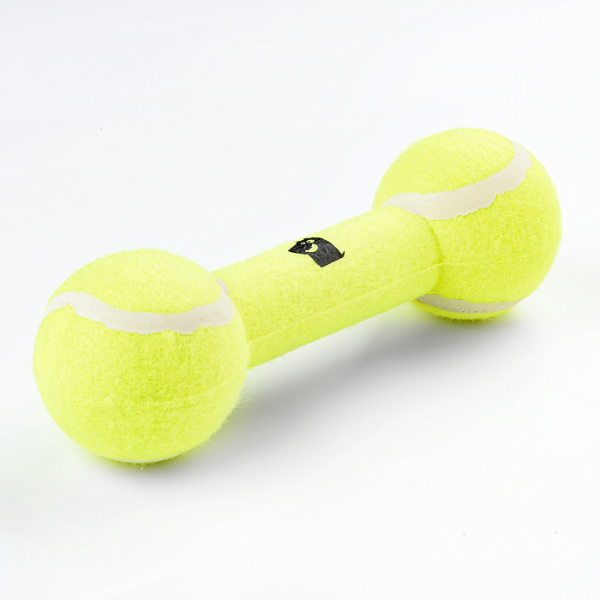 8321b89a6f9fe2298792411e1e528216