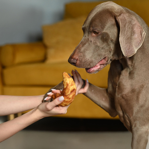 good-2ea70124-37d9-11f0-a5a7-b07b25e4d639