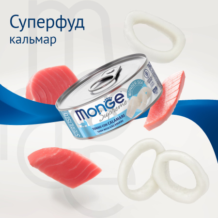 70db80485ccb3a12acceb954cad1c8a6