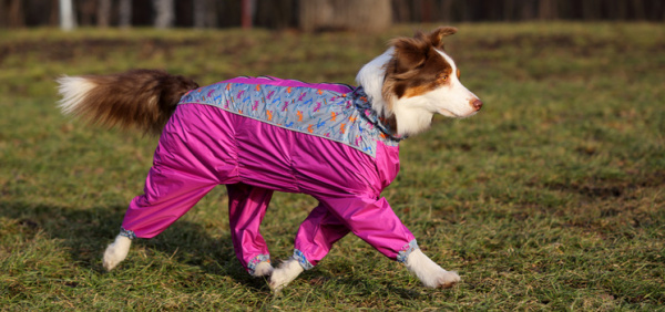 7e804aa27506f4699707871cd0d69831