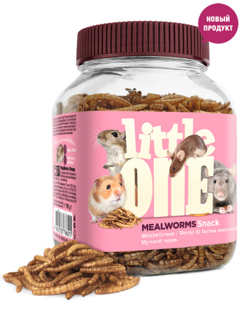 little_one_mealworm_treat_omnivorous_rodents