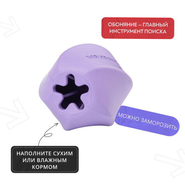 8ed028ef579d3b9876eec6aa414f83e6