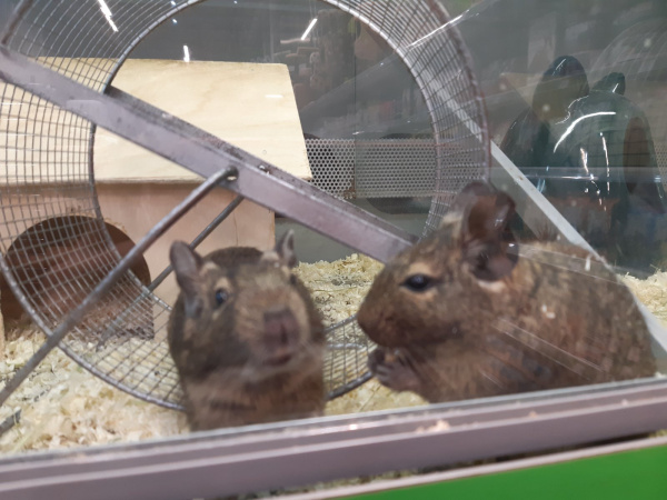 izobrazhenie_viber_2020-12-28_16-11-19