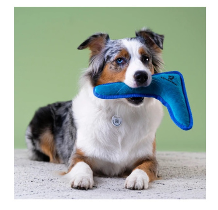 Безымянный1