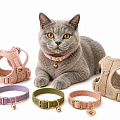Шлейки, ошейники для кошек Шлейки, ошейники для кошек