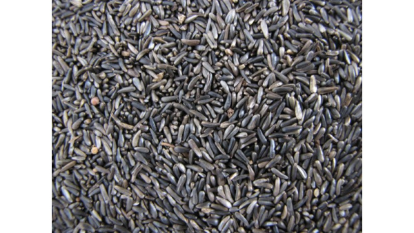 thistle_seed-800x450