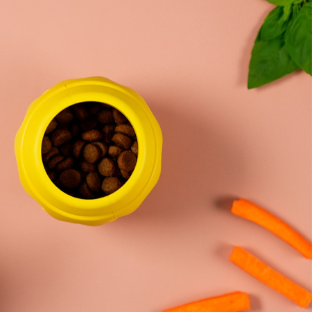 21696263db710e039d385a52a4fc9fe4