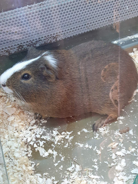 izobrazhenie_viber_2020-12-28_16-11-16