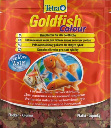 goldfish_kolor